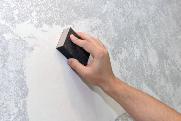 Best Biohazard Mold Removal  in Mattydale, NY