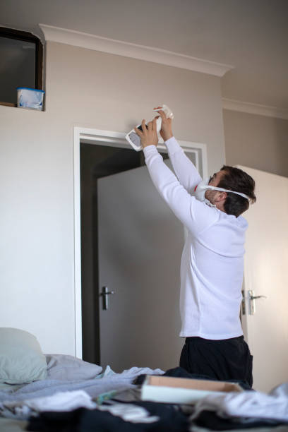 Best Asbestos and Lead Testing During Mold Inspection  in Mattydale, NY