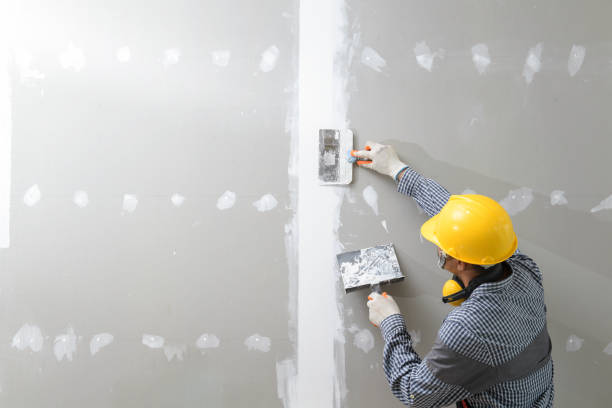 Environmental Consulting for Mold Prevention in Mattydale, NY