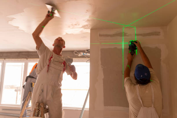 Best Mold Documentation for Insurance Claims  in Mattydale, NY