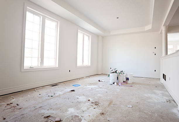 Best Basement Mold Removal  in Mattydale, NY