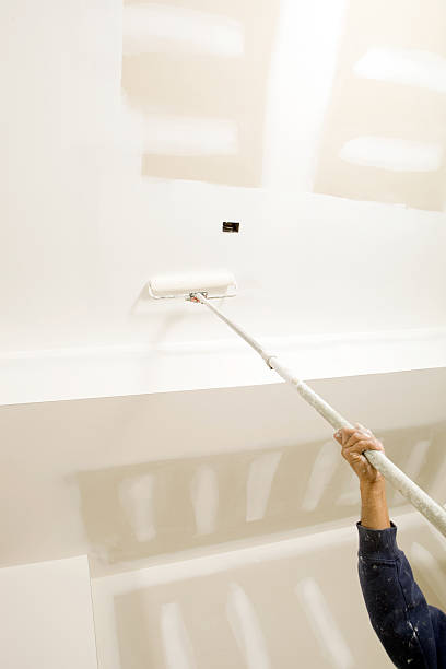 Professional Mold Removal in Mattydale, NY